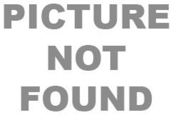Viva 8029 Eyeglasses Fashion - Image 2