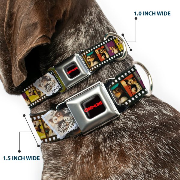 GREMLINS Text Logo Full Color Black Red Seatbelt Buckle Collar - Gremlins Gizmo Filmstrip Poses Multi Color Online Hot Sale - Image 2